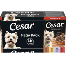 Cesar nourriture pour chiens Mega Pack avec 24 barquettes de 150 grammes. Emballage avec un West Highland White Terrier et un bol de pâtée.