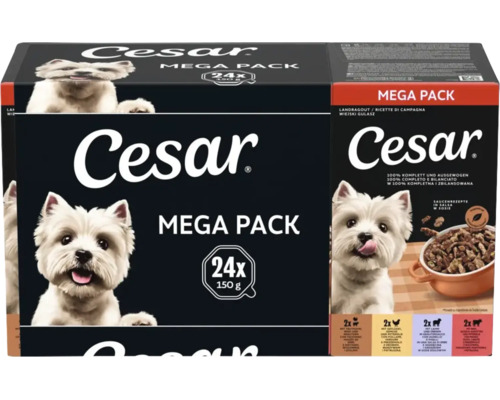 Cesar nourriture pour chiens Mega Pack avec 24 barquettes de 150 grammes. Emballage avec un West Highland White Terrier et un bol de pâtée.