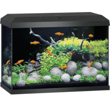 Aquarium complet avec couvercle noir, décoré de plantes, pierres, racines et poissons orange.