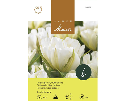 Bulbes de fleurs Samen Mauser «Tulipes Exotic Emperorr», blanches doubles, floraison précoce, 5 pces
