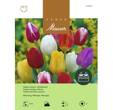 Bulbes de fleurs Samen Mauser «Mélange de tulipes à fleur simple», 25 pièces