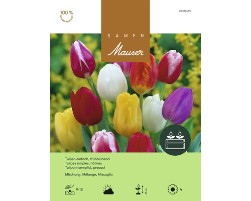 Bulbes de fleurs Samen Mauser «Mélange de tulipes à fleur simple», 25 pièces