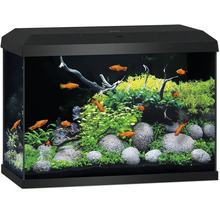 Aquarium complet avec couvercle et cadre noirs, décoré de plantes, de pierres, de racines et de poissons orange.