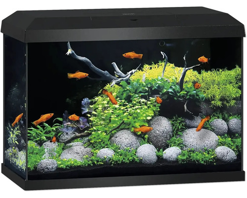 Aquarium complet avec couvercle et cadre noirs, décoré de plantes, de pierres, de racines et de poissons orange.