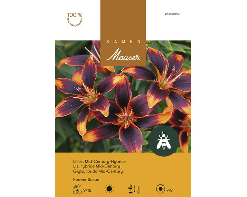 Bulbes de fleurs Samen Mauser «Lys Forever Susanne Mid-Century», orange-violet, 3 pces