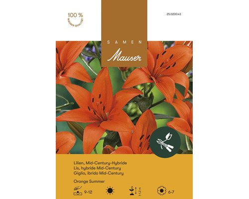 Blumenzwiebeln Samen Mauser "Lilium Orange Summer Mid-Century" orange 3 Stk.