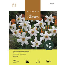 Bulbes de fleurs Samen Mauser «véritable narcisse de Montreux», blanc, 15 pièces