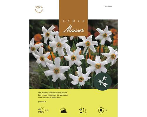 Bulbes de fleurs Samen Mauser «véritable narcisse de Montreux», blanc, 15 pièces