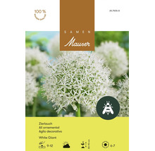 Blumenzwiebeln Samen Mauser Zierlauch "Allium White Giant" weiss 1 Stk.