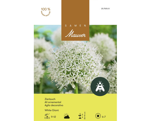 Blumenzwiebeln Samen Mauser Zierlauch "Allium White Giant" weiss 1 Stk.