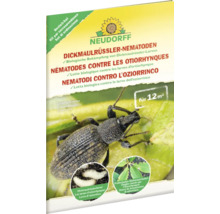 Neudorff Bestell-Set Nützlinge