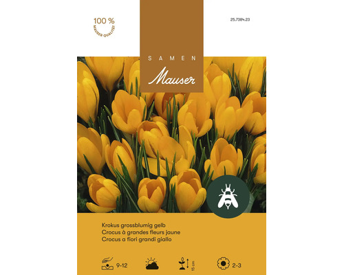 Bulbes de fleurs Samen Mauser «Crocus vernus», jaune à grandes fleurs, 15 pièces