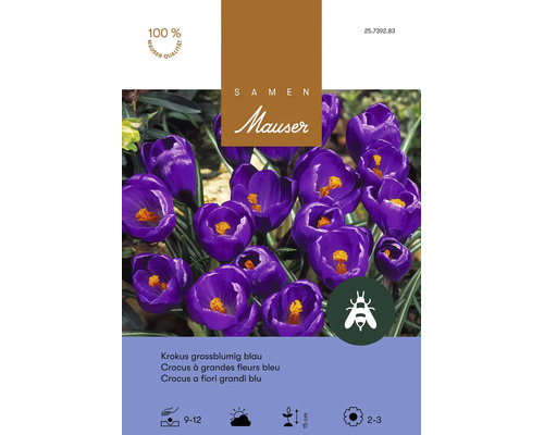 Bulbes de fleurs Samen Mauser «Crocus vernus» bleu, grandes fleurs, 15 pièces
