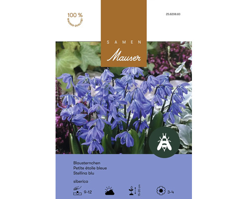Blumenzwiebeln Samen Mauser "Scilla siberica Blausternchen" blau 25 Stk.