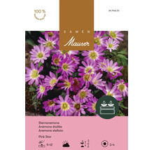 Bulbes de fleurs Samen Mauser «Anemone blanda Pink Star», rose vif, 10 pièces