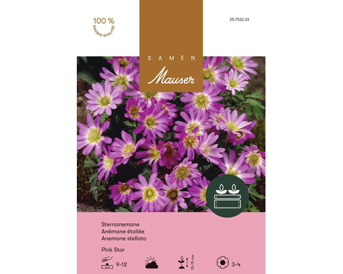 Bulbes de fleurs Samen Mauser «Anemone blanda Pink Star», rose vif, 10 pièces