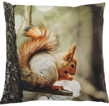 Coussin décoratif avec motif d'écureuil sur une branche dans la forêt