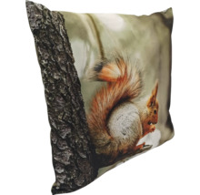 Coussin décoratif avec impression photo d un écureuil sur un tronc d arbre