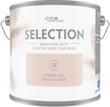 Un pot de peinture murale mate Selection dans la teinte Florida Keys avec poignée