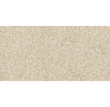 Carrelage en grès cérame aspect terrazzo pour murs et sols intérieurs
