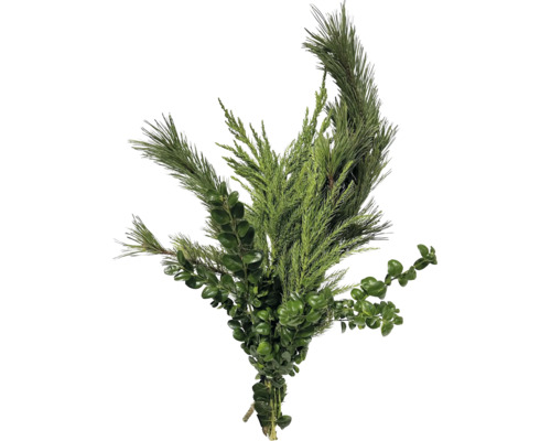 Bouquet décoratif composé de branches de sapin et de buis pour les décorations de Noël.