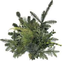 Bouquet décoratif composé de diverses branches de conifères et de branches à feuillage persistant pour la décoration de Noël