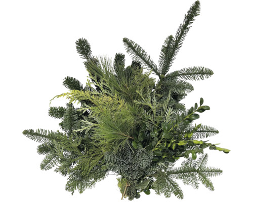 Bouquet décoratif composé de diverses branches de conifères et de branches à feuillage persistant pour la décoration de Noël