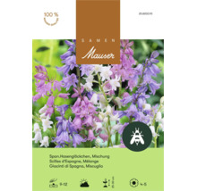 Graines Mauser mélange de jacinthes des bois avec indications sur la période de plantation de floraison la hauteur et symbole pour les abeilles