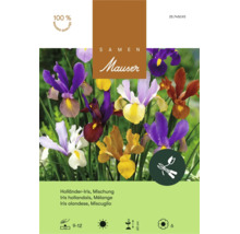 Sachet de graines pour mélange d'iris hollandais Mauser avec illustration de fleurs d'iris multicolores et informations de plantation