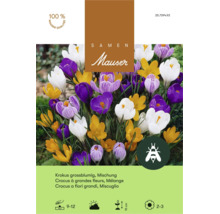 Bulbes de fleurs crocus à grandes fleurs mélange Mauser semences avec symbole ami des abeilles