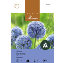 Sachet de graines pour ail ornemental Allium caeruleum de Mauser avec symbole respectueux des abeilles.