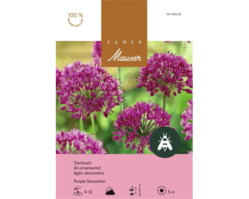 Sachet de graines Mauser ail ornemental Purple Sensation, bulbes vivaces pour abeilles, hauteur 60 à 80 centimètres, floraison mai à juin.