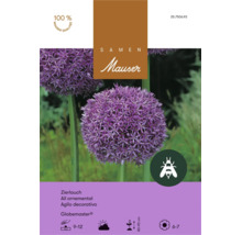 Sachet de graines Mauser ail ornemental Globemaster avec informations de plantation et symbole amical pour les abeilles