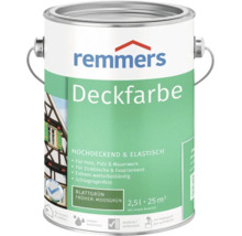 Peinture couvrante Remmers en vert feuille, 2,5 litres pour bois, crépi, maçonnerie et tôle de zinc, peinture résistante aux intempéries.