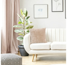 Wohnzimmer mit modernem Sofa, beigem Kissen, Zimmerpflanze und geometrischem Hocker in einer hellen und wohnlichen Einrichtung.