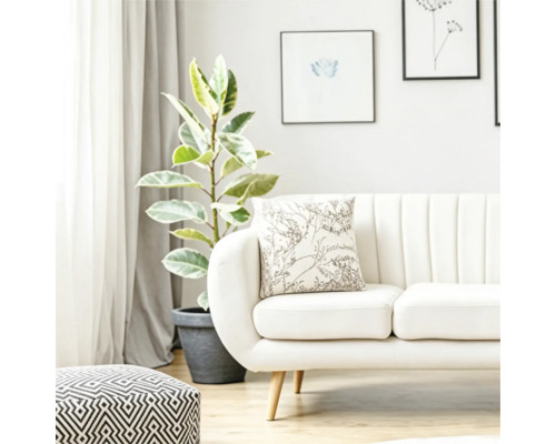 Ein helles Wohnzimmer mit Sofa, dekoriert mit einem Kissen mit Pflanzenmuster, daneben eine Zimmerpflanze und ein gemusterter Sitzhocker.