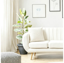Salon lumineux avec un canapé moderne, des coussins, un pouf à motifs et une grande plante en pot devant une fenêtre avec des rideaux.