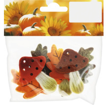 Set mit herbstlichen Deko Figuren wie Filzpilze und Blätter in einer Kunststoffverpackung zur Dekoration.