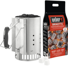 Set cheminée d'allumage Weber avec briquettes de charbon et cubes allume-feu pour un allumage rapide et efficace du barbecue.