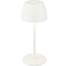 Moderne LED Tischleuchte mit schirmförmigem Leuchtenkopf und rundem Standfuß für den Innenbereich.
