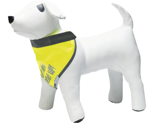 Bandana de sécurité pour chien avec éléments réfléchissants pour une meilleure visibilité