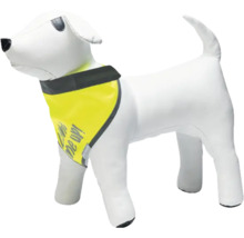 Bandana de sécurité pour chien avec éléments réfléchissants pour une meilleure visibilité