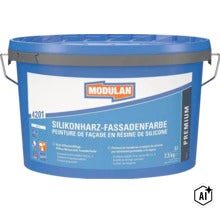Modulan Silikonharz Fassadenfarbe 4201 im Eimer, 5 Liter Inhalt für Fassadenanstriche. (Image AI modified or generated)