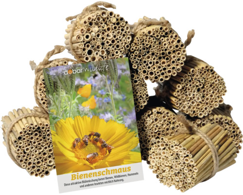 Insektenhotel aus Schilfröhrchen mit Bienenschmaus Saatgut von Dobar Wildlife als Nisthilfe und Nahrungsquelle für Wildbienen und Insekten.