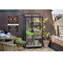 Pflanzenregal mit Glasabdeckung auf Rollen für den Balkon neben einem Gartentisch mit Stühlen und einem Plus X Award Siegel für Qualität.