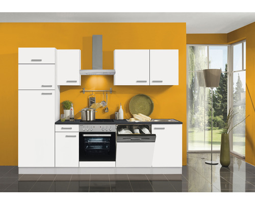 Cuisine intégrée avec façades blanches, évier, lave-vaisselle, cuisinière et armoires suspendues devant un mur coloré