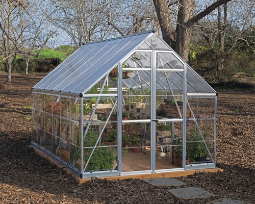 Serre avec étagères et plantes dans le jardin