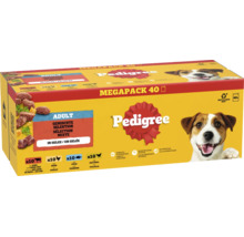 Pedigree Adult mégapack avec 40 sachets fraîcheur de nourriture humide en gelée variétés mixtes