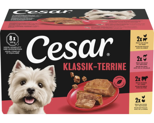 Cesar Klassik Terrine Hunde-Nassfutter Multipack mit acht 150 Gramm Schalen in verschiedenen Sorten für ausgewachsene Hunde.
