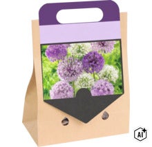 Papiertüte mit Blumenzwiebeln von Zierlauch mit violetten und weißen Blütenkugeln (Image AI modified or generated)